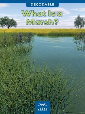 cover image of What Is a Marsh?